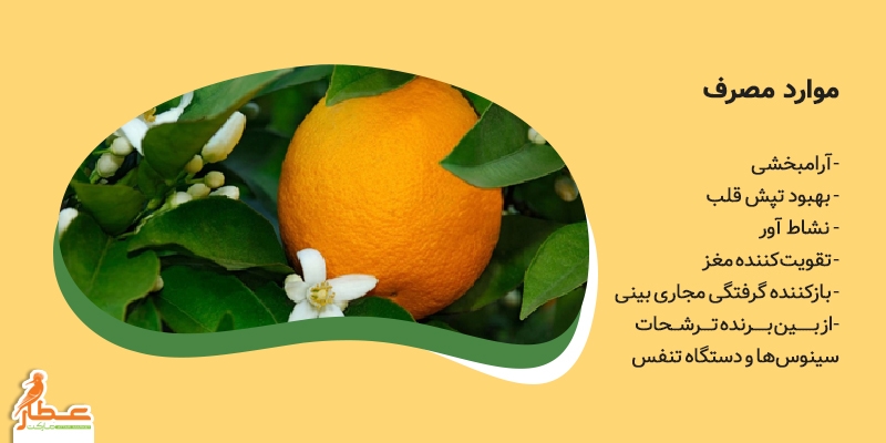 گیاه‌شناسی بهارنارنج