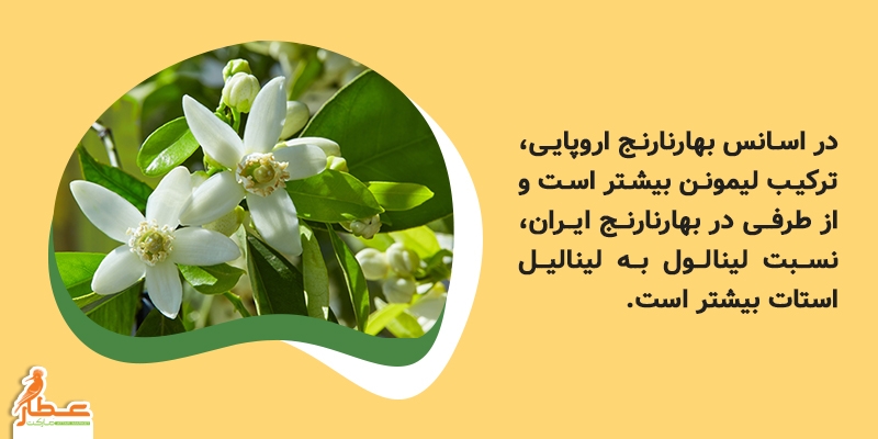ماده‌ موثره و ترکیبات دارویی