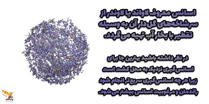 اسانس عرق اسطوخودوس یا لاوندر