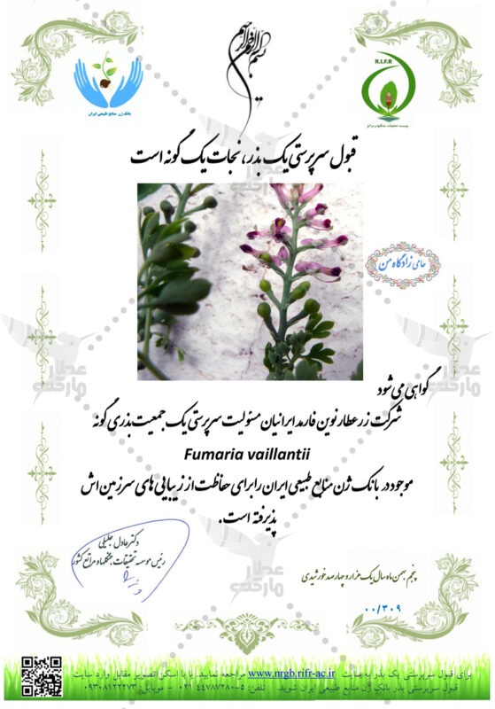 سرپرستی شاتره