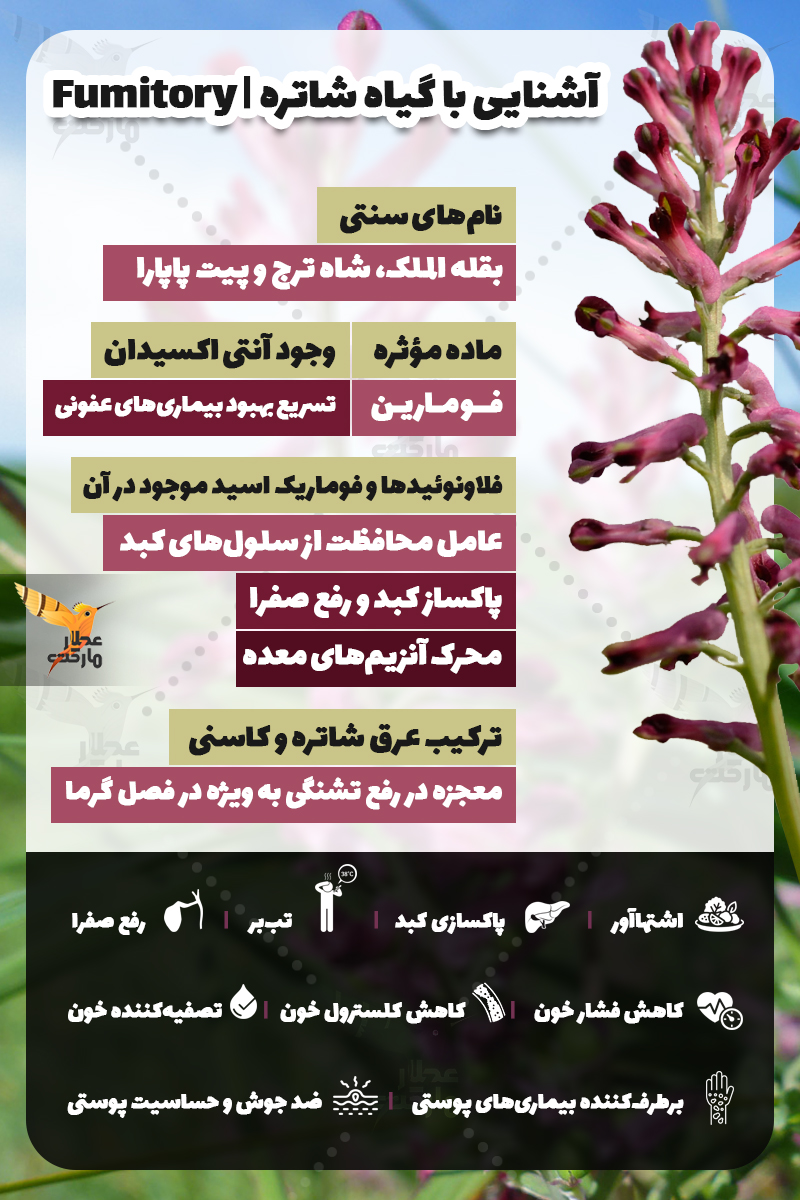 اینفوگرافی شاتره