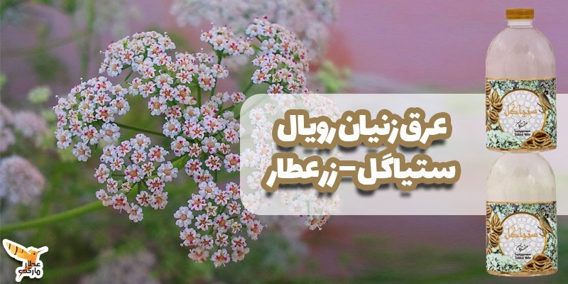 عرق زنیان رویال ستیاگل – زر عطار