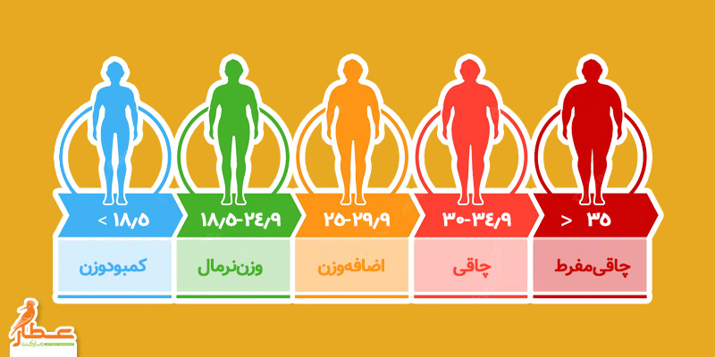 BMI