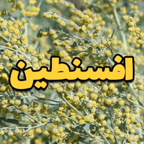 افسنطین
