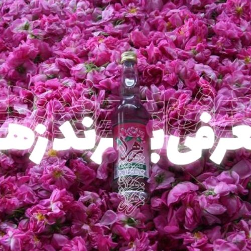 معرفی برند زهرا