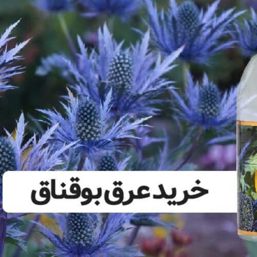 خرید عرق بوقناق