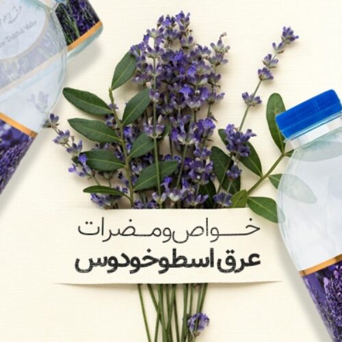 خواص و مضرات عرق اسطوخودوس