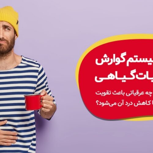 تقویت سیستم گوارش با عرقیات گیاهی
