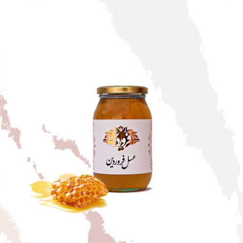 عسل گون گز فروردین (650 گرم)