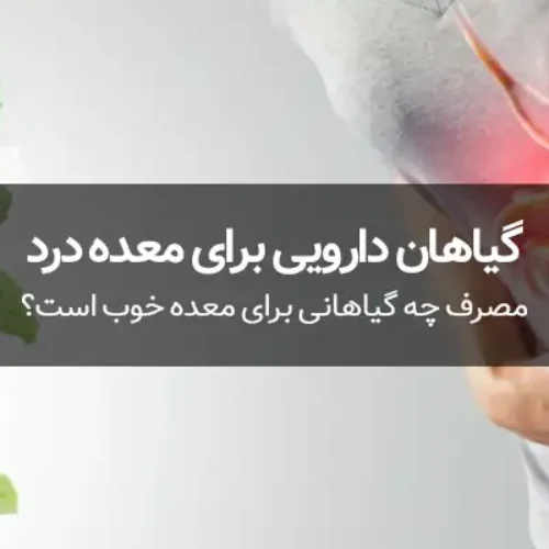 گیاهان دارویی برای معده درد