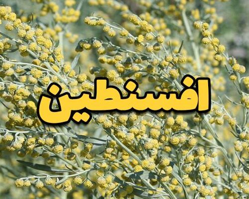 افسنطین