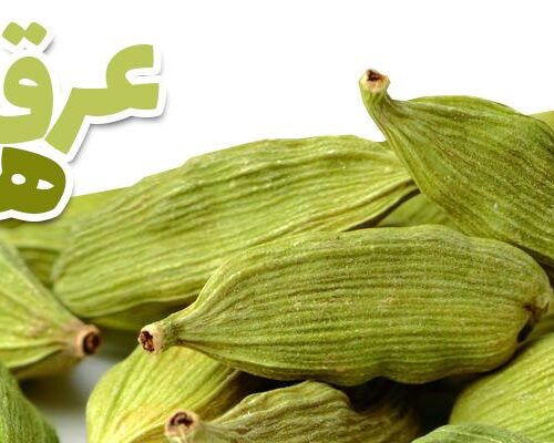 عرق هل