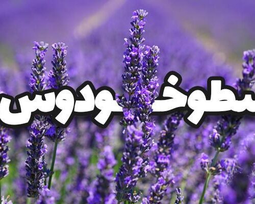اسطوخودوس