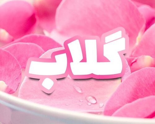 گلاب