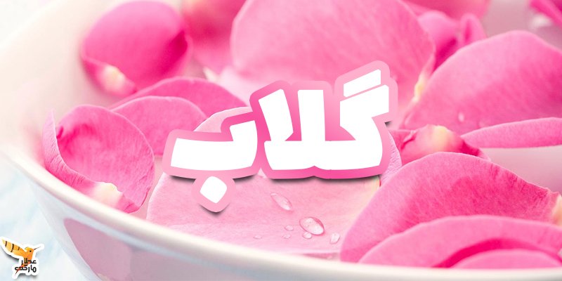 گلاب