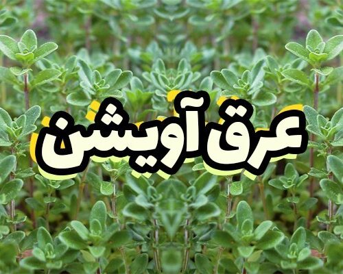 عرق آویشن