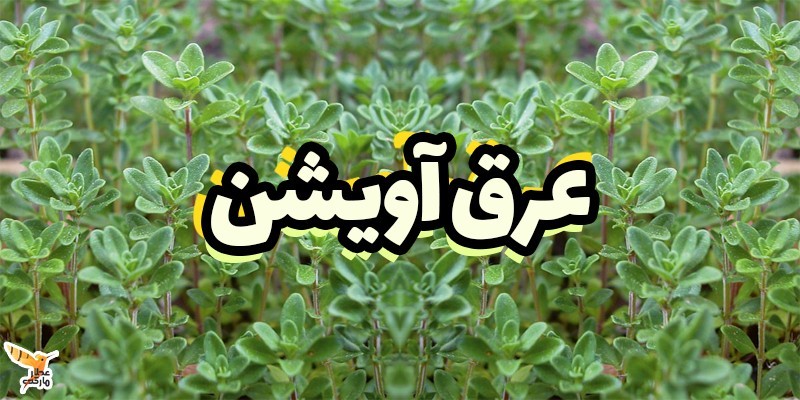 عرق آویشن