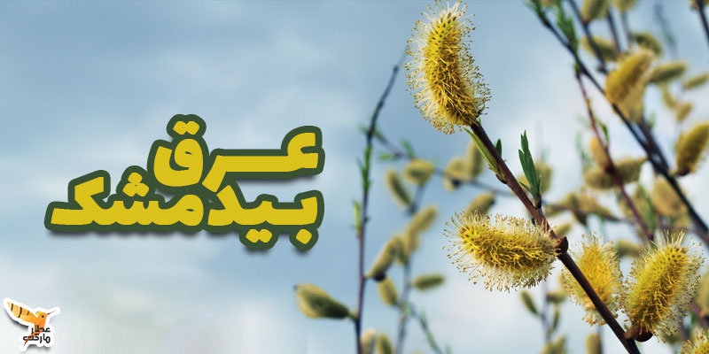 عرق بیدمشک