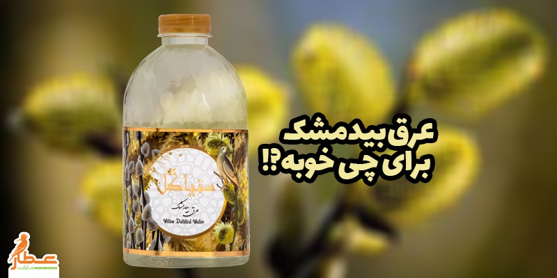عرق بیدمشک برای چی خوبه