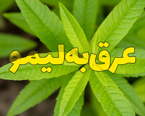 عرق به لیمو