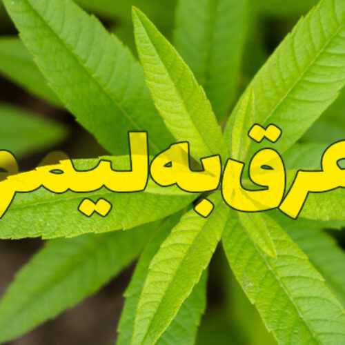 عرق به لیمو