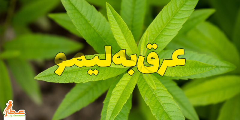 عرق به لیمو