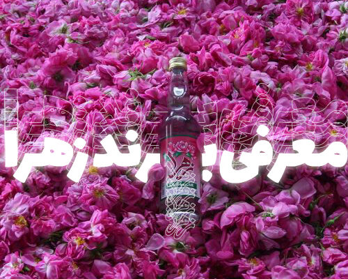 معرفی برند زهرا
