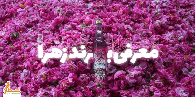 معرفی برند زهرا