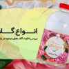 انواع گلاب