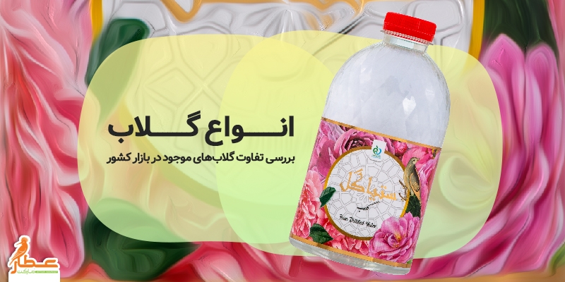 انواع گلاب