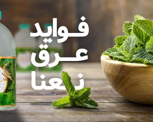 فواید عرق نعنا