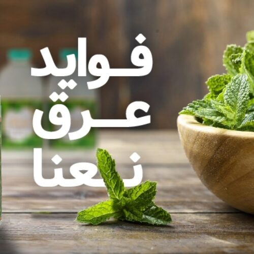 فواید عرق نعنا