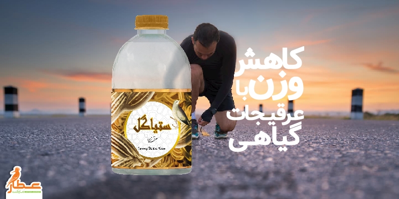 کاهش وزن با عرقیجات گیاهی