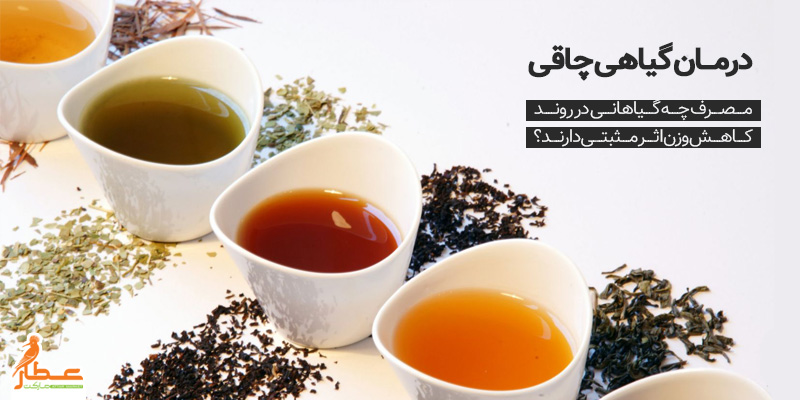 درمان گیاهی چاقی