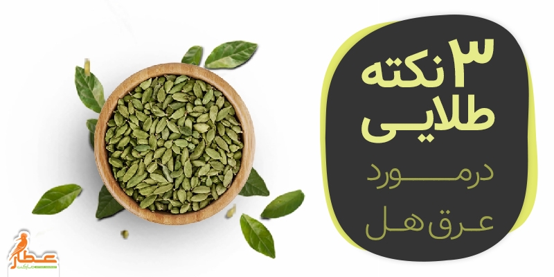 3 نکته طلایی در مورد عرق هل