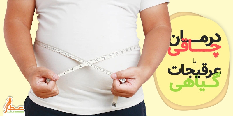 درمان چاقی با عرقیجات گیاهی