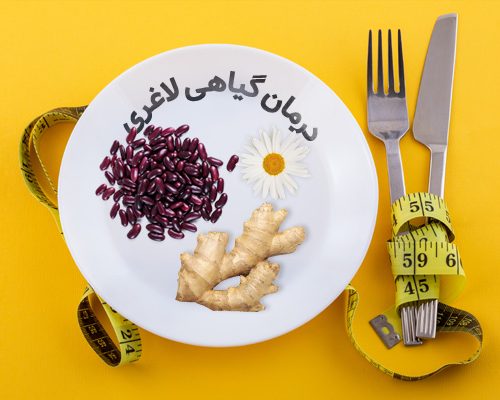 درمان گیاهی لاغری