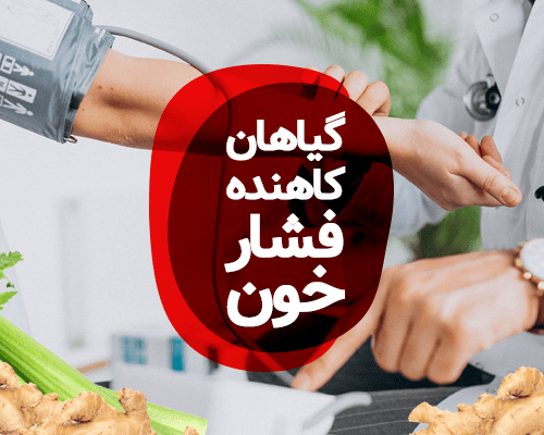 گیاهان کاهنده فشار خون