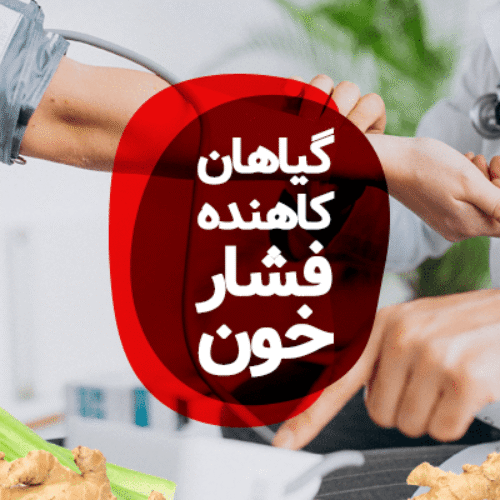 گیاهان کاهنده فشار خون