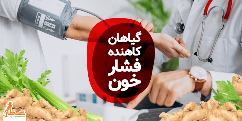 گیاهان کاهنده فشار خون