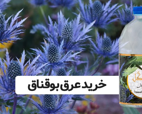 خرید عرق بوقناق