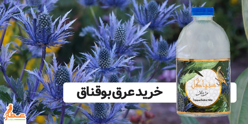 خرید عرق بوقناق