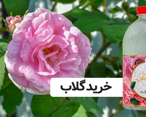 خرید گلاب