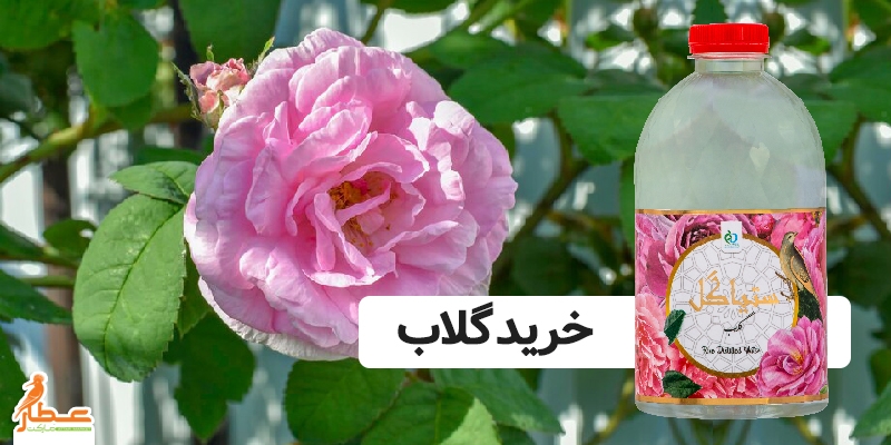خرید گلاب