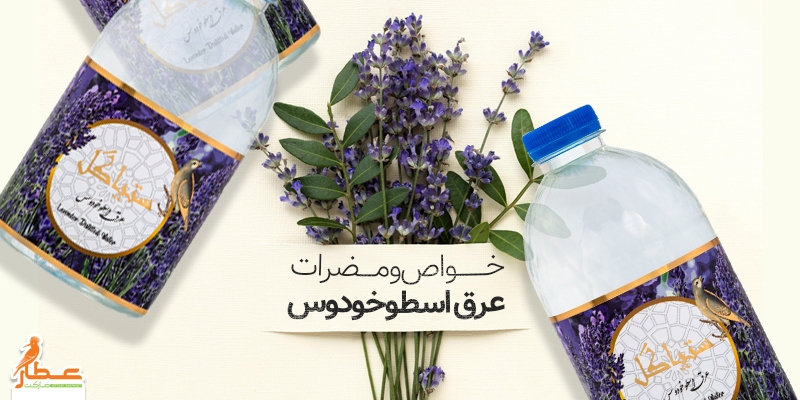 خواص و مضرات عرق اسطوخودوس