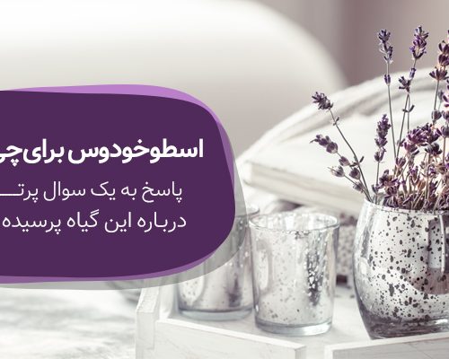 اسطوخودوس برای چی خوبه