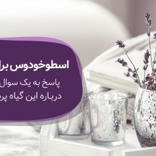 اسطوخودوس برای چی خوبه