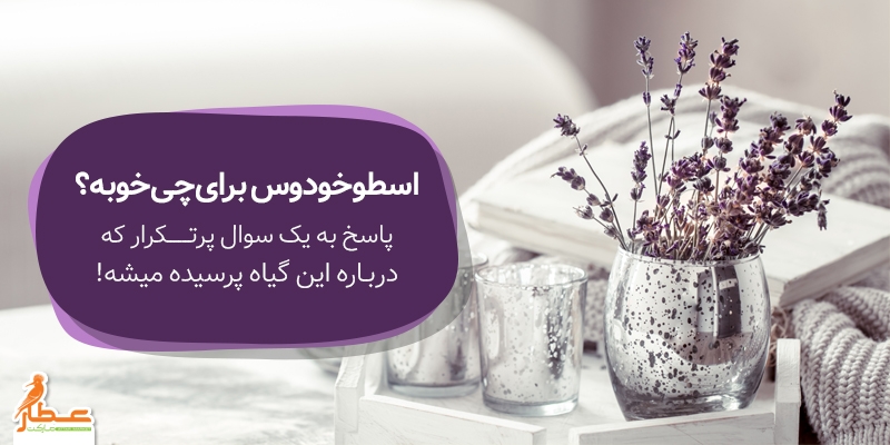 اسطوخودوس برای چی خوبه