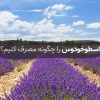 اسطوخودوس را چگونه مصرف کنیم