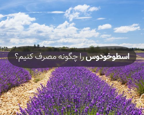 اسطوخودوس را چگونه مصرف کنیم